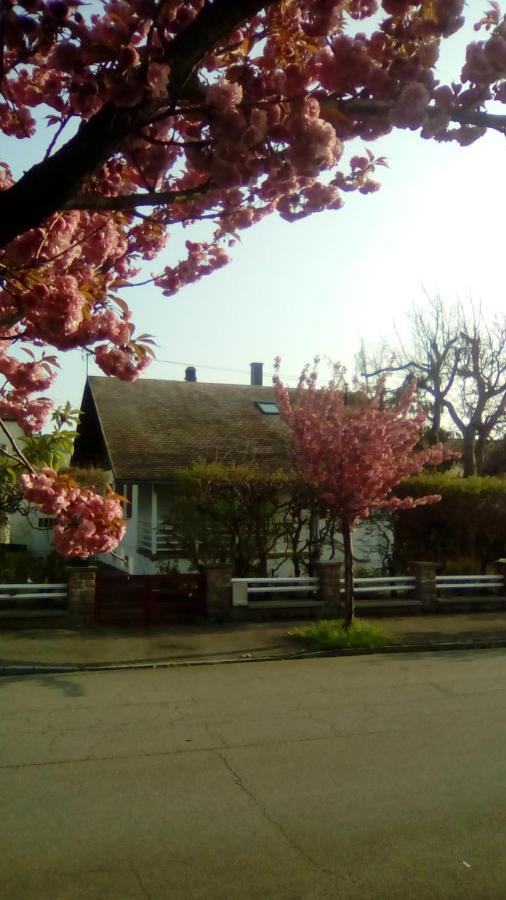 chalet montségur Villa Colmar Kültér fotó