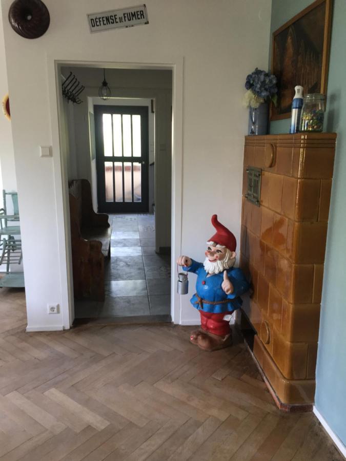 chalet montségur Villa Colmar Kültér fotó